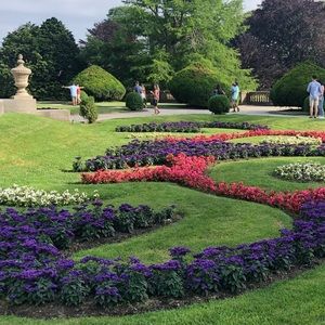 Meet your Posher, Effie